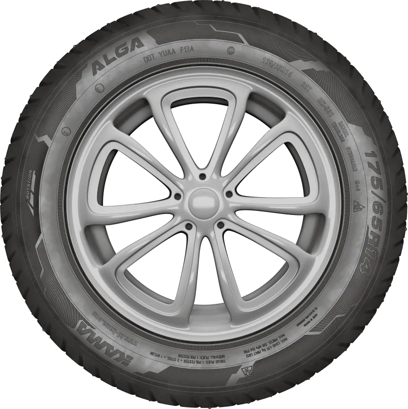 KAMA ALGA (НК-531) в Белокурихе — KAMA TYRES KAMA ALGA (НК-531) в Белокурихе